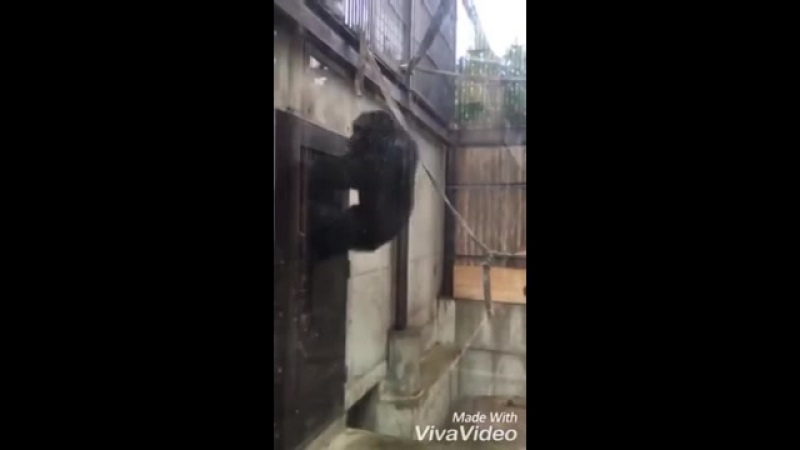 Когда прибило поссать, а в туалете батя