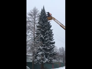 Видео от сельское поселение сямженское