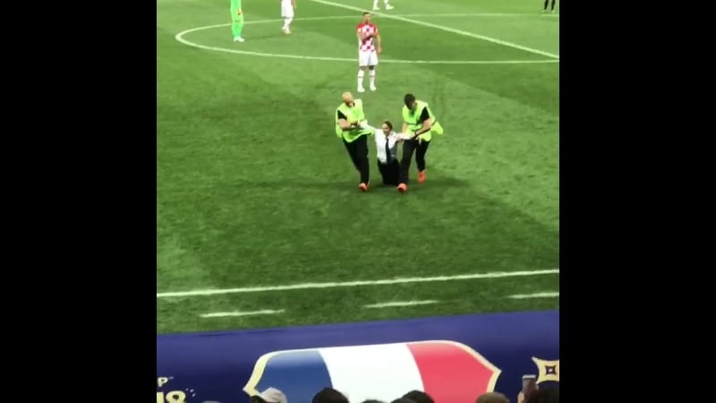 Петушки бегали по полю