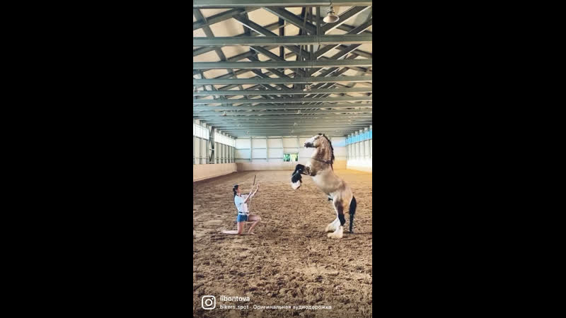 Тинкер hard rock hallelujah