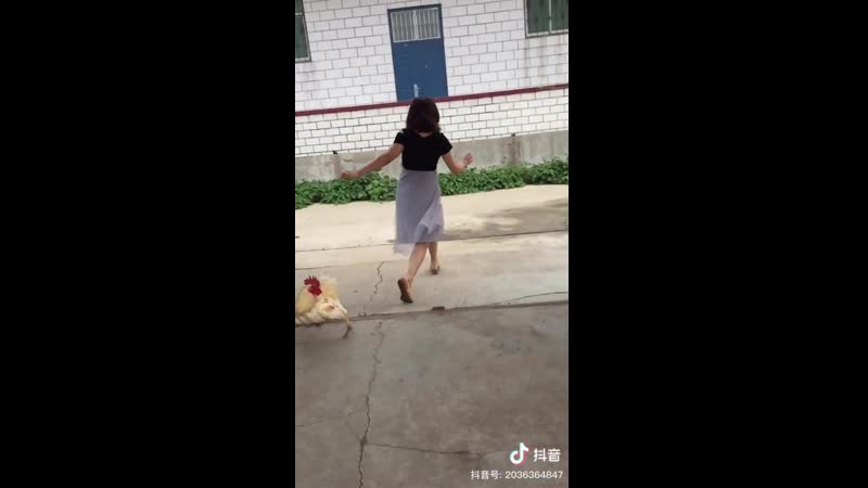 Гуси лебеди