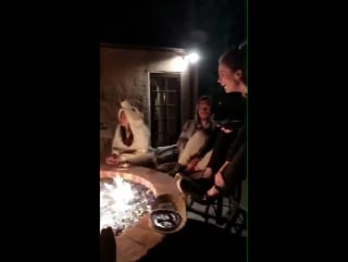 Nina dobrev com amigos em uma festa do pijama na casa de lauren paul em comemoração ao aniversário da amiga