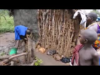 Maasai village tanzania