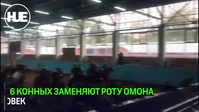 Конная полиция усиленно тренируется к чемпионату мира 2018