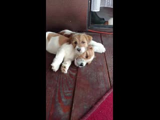 Trim 20190816 174031 mp4