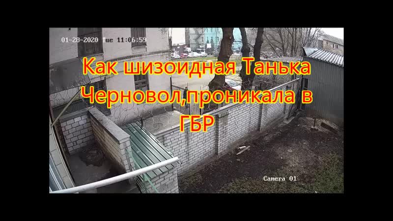 Как шизоидная танька черновол,проникала в гбр