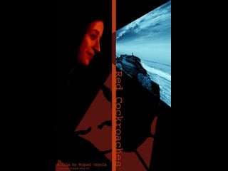 Красные тараканы red cockroaches (2003)