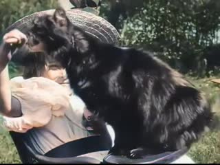 The world's first cat clip ever from 1899, "little girl and cat" colorized and speed adjusted