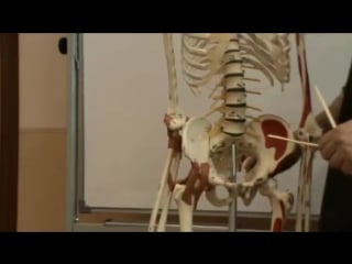 4 модуль, семинар 6(висцеральная сфера)день 2, ч 5