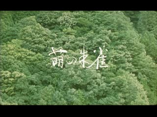 Судзаку / moe no suzaku (1997) dir naomi kawase (rus sub)