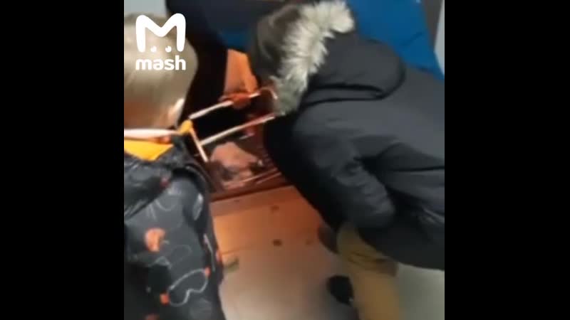 В курской области лифт сорвался, когда оттуда доставали застрявших людей