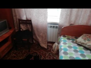 Vid 20201104 151245 mp4