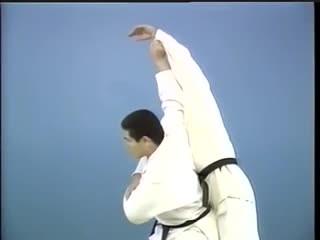 Kodokan throwing techniques (nagewaza)