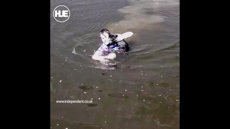 В великобритании прохожий спас кота