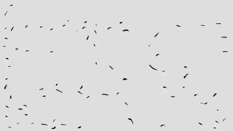 Sektor gaza bomzh spaces im mp4