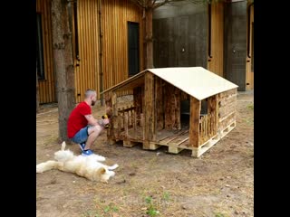 Шикарная будка ibrfhyfz,elrf