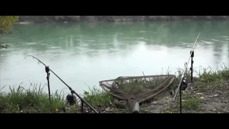 Поклеи карпов