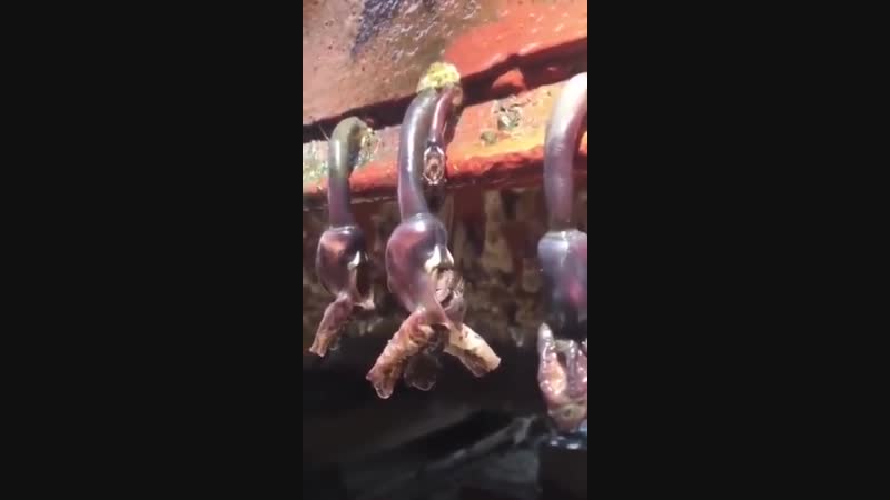 Решили почистить днище катера что это, мы не знаем