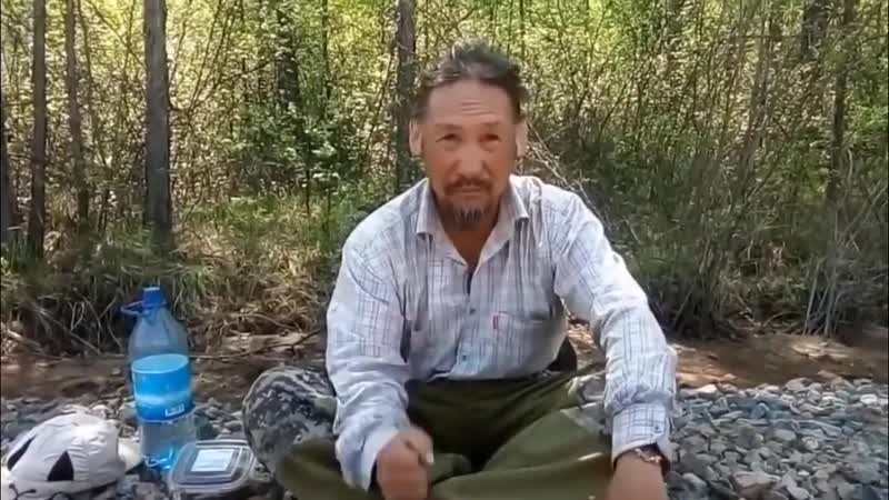 Одинокий волк идет в москву вместо якутского шамана {}