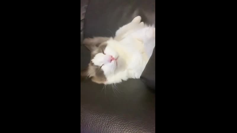 Lisa porn video – Lisa ig story 09/08/19