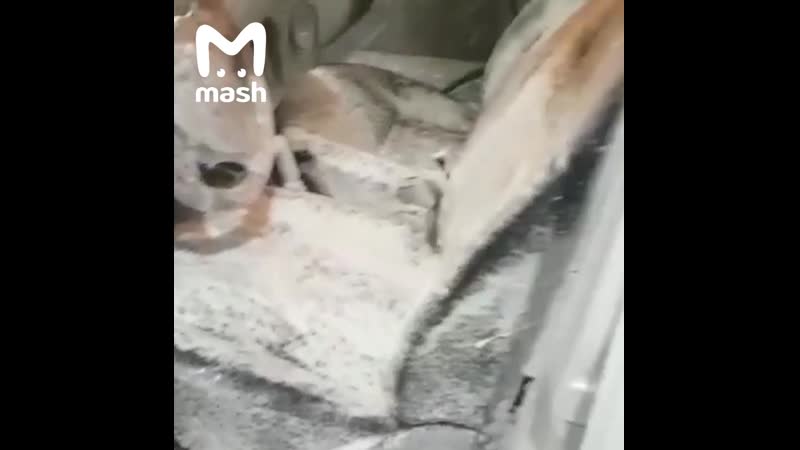 Дагестанский мужчина увидел салон своей машины после мойки