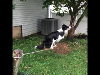 Qoshiqchi va aktrisalarning pornosini tomosha qiling