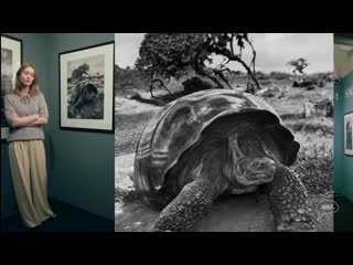 Genesis выстаа sebastião salgado в москве