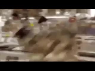 Chego ego tak shtirit mp4