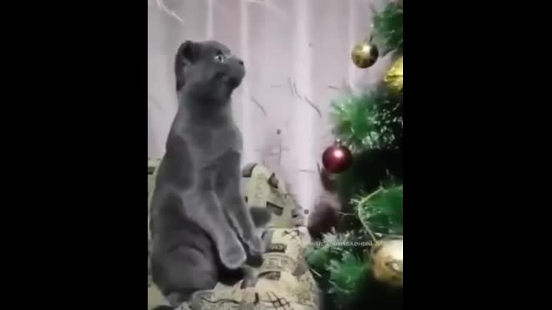 Наряжаем новогоднюю красавицу