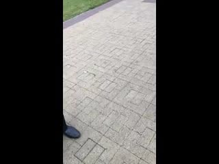 Memorial slavina mp4