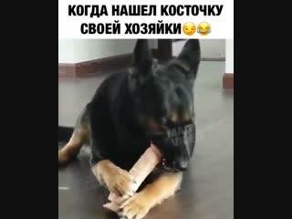 Отправь подруге с такой косточкой🤣