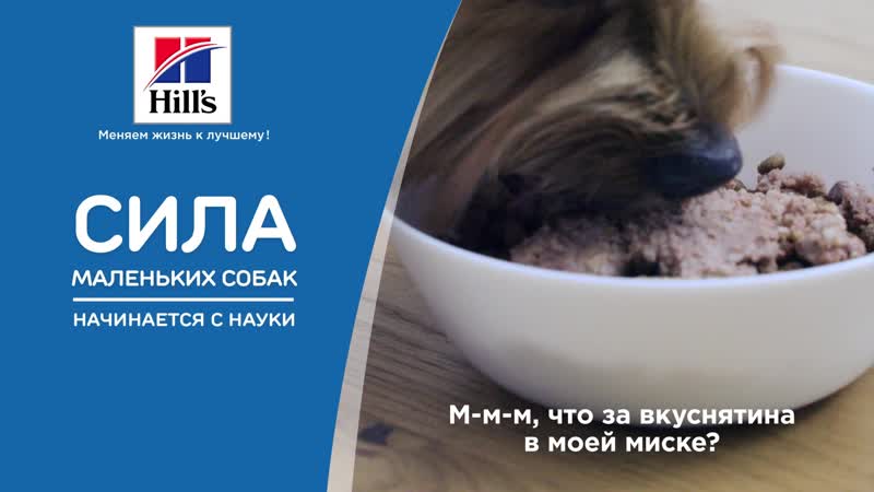 Бенни гурман