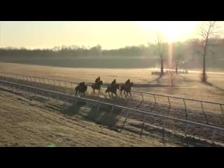 Which one of these 4 would you want in your stocking this christmas 18 spring storm, 18 flaming heart, 18 sambuca classica