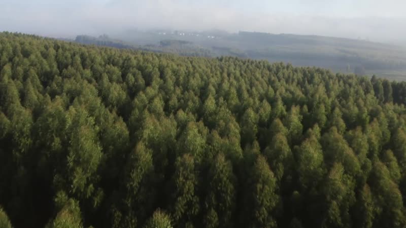 Про адренохром рассказал шпак