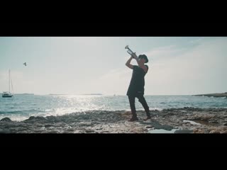Steve aoki x timmy trumpet feat dr phunk hava (official music video)