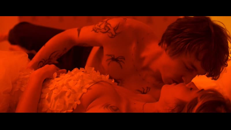 Алис исааз виды под угрозой исчезновения / alice isaaz espèces menacées ( 2017 )