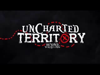 Beyond uncharted territory 2019