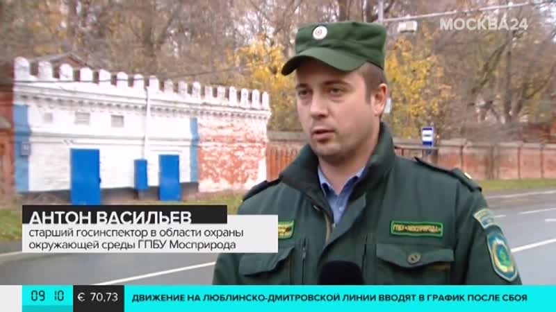 Вандализм в усадьбе покровское стрешнево