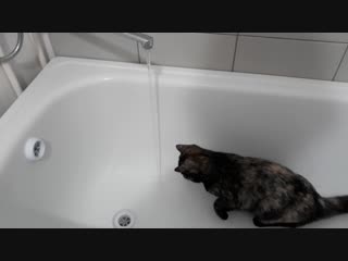 Мася в ванной