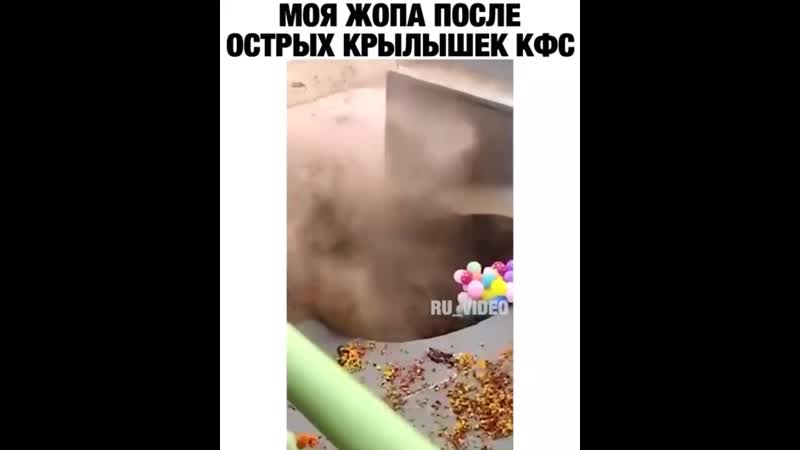 Моя жопа после острых крылышек кфс