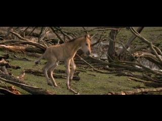 De nieuwe wildernis (vlaamse trailer)