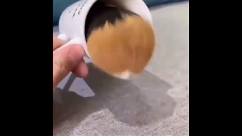 Обиделась на мужа)