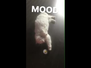 [instagram story] 170830 cl