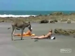 Сексуальные обнаженные девушки