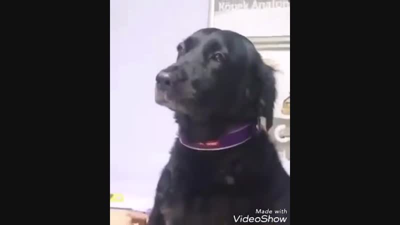 Я уколов не боюсь, если надо уколюсь (vhs video)