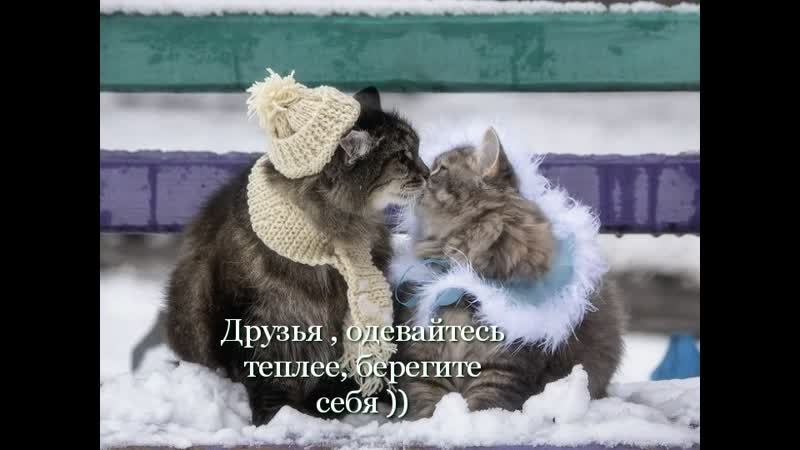 Одевайтесь теплее холодно, блин ◄╬₪✨😂✨★ юмор ★✨🤣✨₪╬►прикол