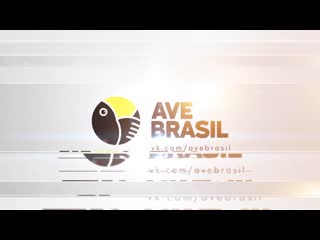 Espelhodavida s01e158 1080p rus avebrasil