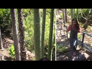 @msleamichele thanks for all the @instyle love! 💕 come take a never before seen tour around my home with me! #instylewithlea