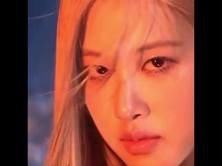 200222 @roses are rosie