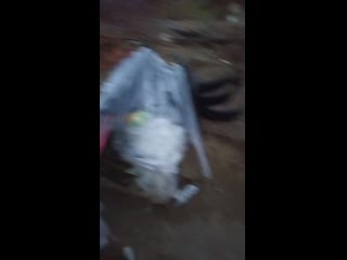 Vid 20201217 195607 313 mp4